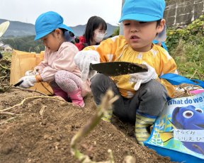 年中★芋ほり遠足