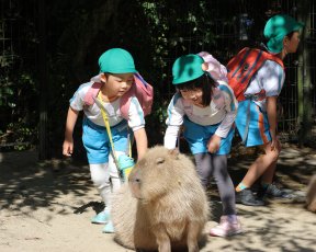 年長★バイオパーク遠足