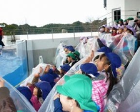 年長きらきらタイム「海きらら水族館見学」