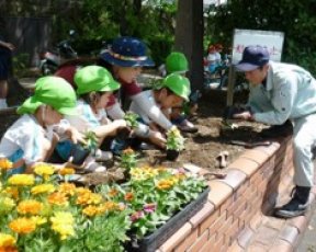 年中組「させぼ美し化プロジェクト」花苗植え