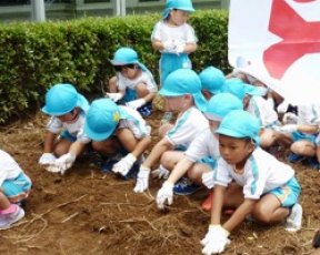 年中組「大豆の種植え体験」に参加しました