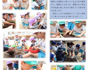 年長★苗植え