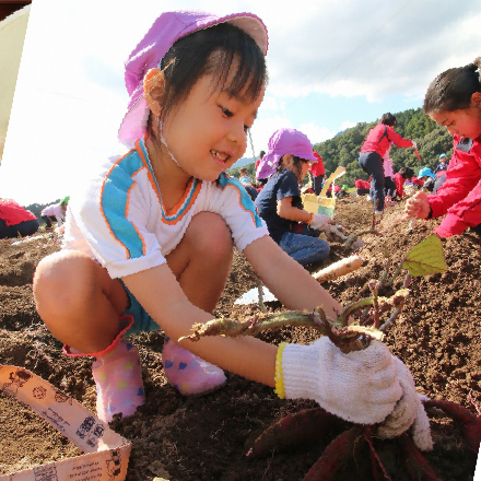 ０歳から小学校就学前までの一貫保育・教育を展開します。