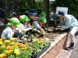 年中組「させぼ美し化プロジェクト」花苗植え