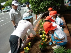 年中組「させぼ美し化プロジェクト」花苗植え