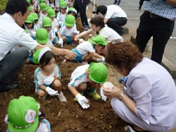 大豆の種植え体験