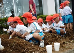大豆の種植え体験